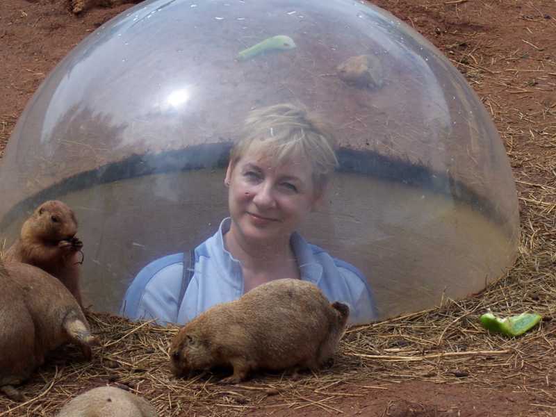 In with the Prairie Dogs
